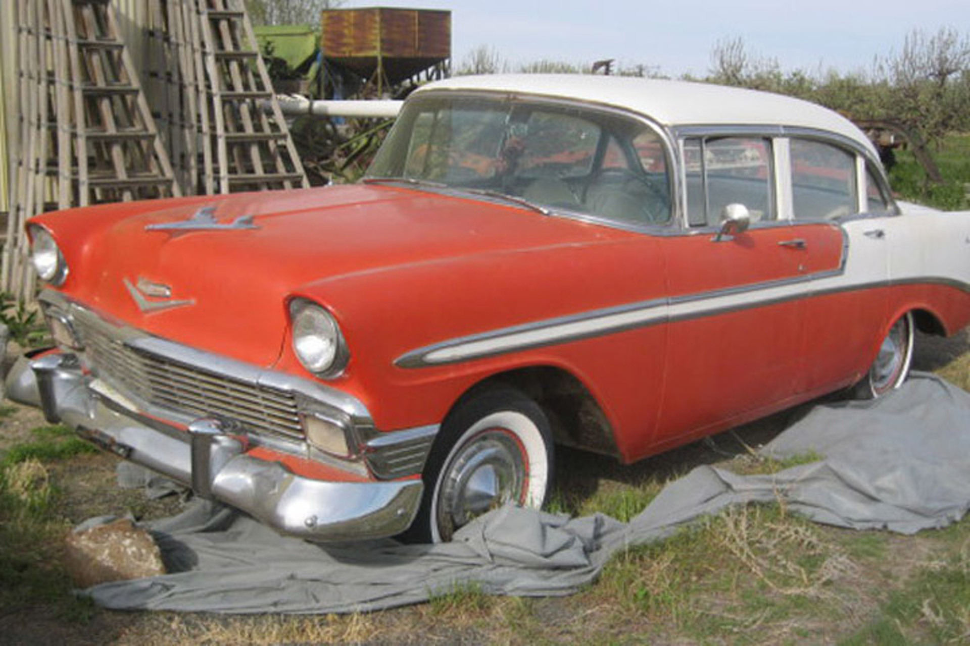 Washington Man Pulls American Muscle from an Orchard