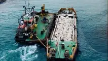 BMW Group España proyecto Biotopos marinos
