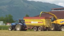 Costi di raccolta e insilamento del triticale nel 2026