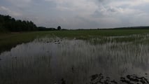 Scelte agronomiche e investimenti in macchine a basse emissioni per ridurre l’urea in risaia sfruttando incentivi PAC, PSN, FEASR e bandi regionali