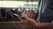 Bolus ruminali e sensori interni per l’estro bovino: applicazioni 2026