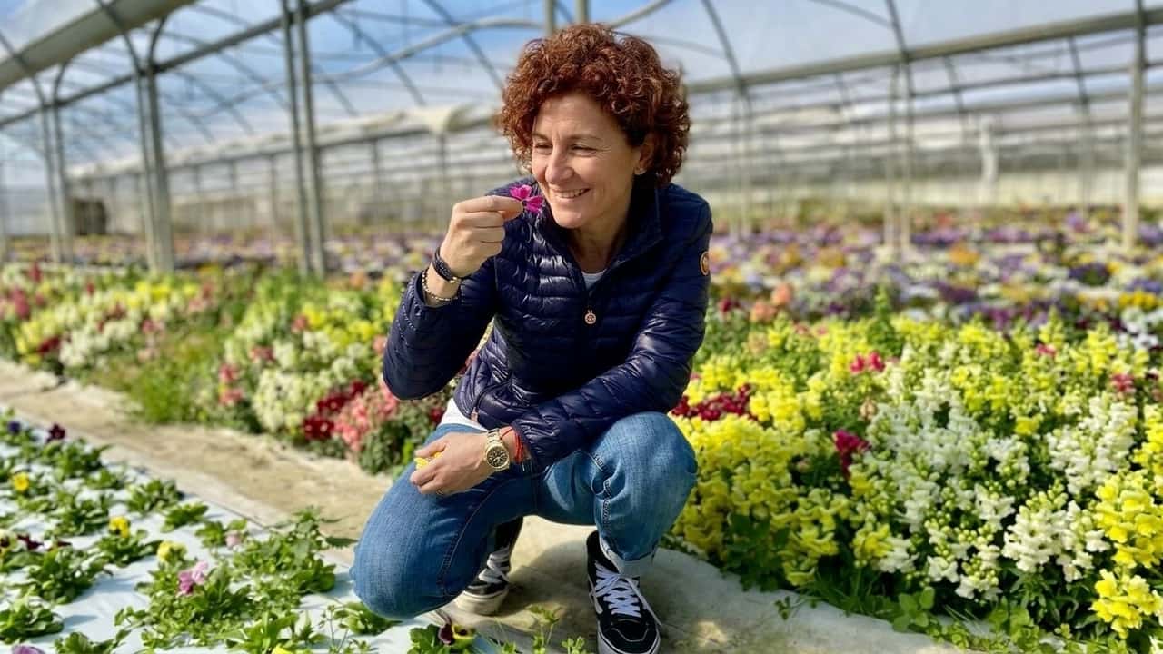 fiori-eduli-la-nicchia-che-fa-guadagnare-i-vivaisti