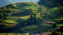 Acquisto terreni agricoli montani: paletti per le società