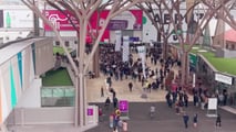 Vinitaly 2026: viticoltura italiana: surplus da 55,9 milioni di ettolitri