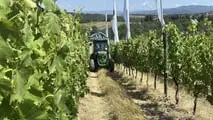 Enovitis in Campo 2026: tutte le novità tra i filari del Chianti