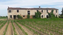 Fabbricati collabenti F/2 sono esclusi dalla piccola proprietà contadina