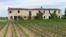 Fabbricati collabenti F/2 sono esclusi dalla piccola proprietà contadina