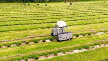 Raggy: il robot che estirpa le erbe tossiche nei pascoli