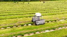 Raggy: il robot che estirpa le erbe tossiche nei pascoli