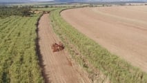 IMU agricola 2026: chi è davvero esente sui terreni?