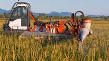 Strategie pratiche per pianificare monitoraggio, mezzi biologici, regolazioni dell’irroratrice e registrazione dei trattamenti contro la piralide del mais nel 2026
