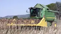 Testata girasole Fantini G03: ad Agritechnica 2025
