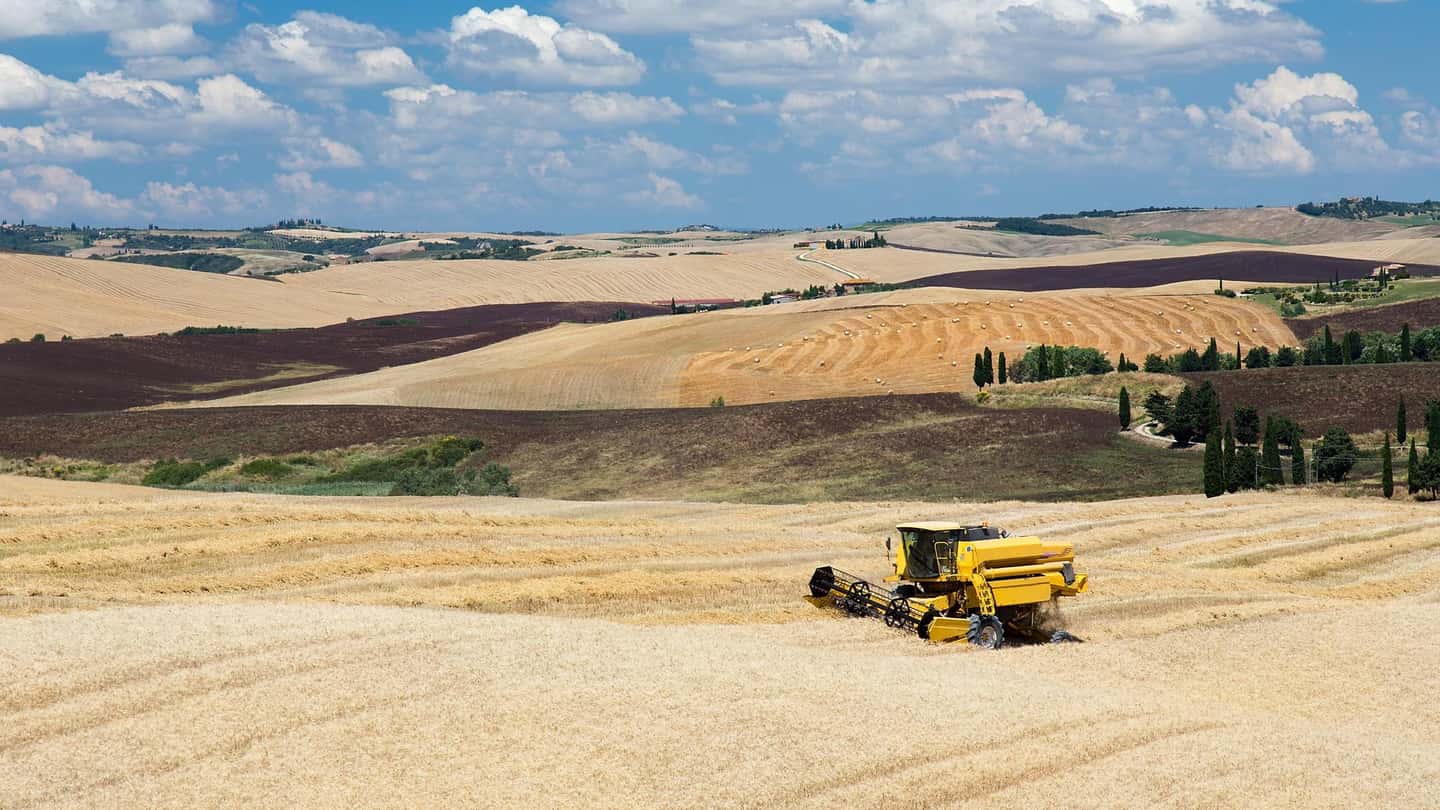 Grano duro, la filiera tra innovazione e valore per gli agricoltori