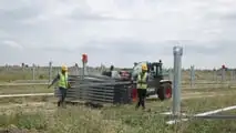 Bobcat in campo nel Delta del Po: i mezzi protagonisti di un maxi impianto agro-fotovoltaico a Loreo