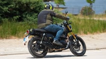 Urso Real Enfield 650 (2025)