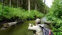 Stark Varg and Two Fly Rods