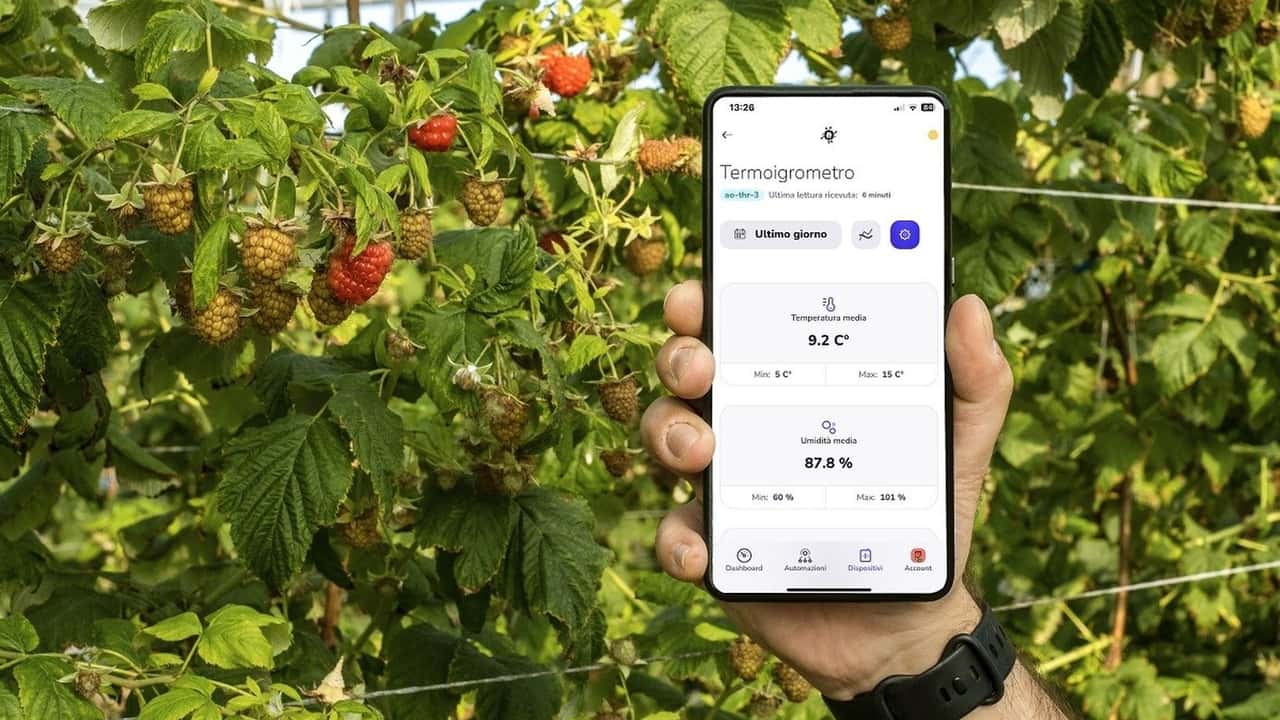 Luma AI: l’intelligenza artificiale che rivoluziona l’agricoltura italiana