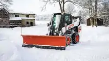 Bobcat Neve