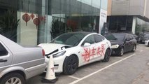 tesla china protest