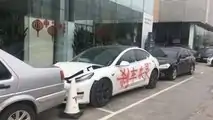 tesla china protest