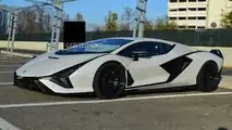 Lamborghini Sian FKP 37 Gesichtet In Der Wildnis