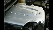 Japanischer Kraxler