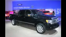 Platz 1: Ford F-Series