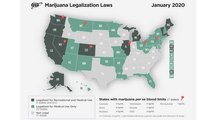 Marijuana Study