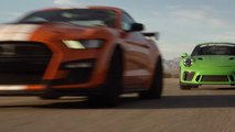 Shelby Vs Porsche And Ferrari