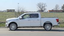 2019 Ford F-150 Limited casus fotoğraf