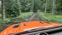 Jeep Wrangler im Test