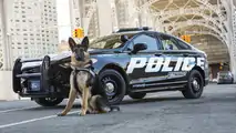 Ford Police Responder Hybrid Sedan