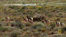 #BuyMyVitara