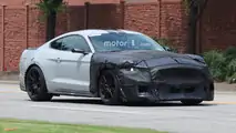 2019 Shelby Mustang GT500 Spy Photos