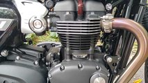 2020 Triumph Speed Twin