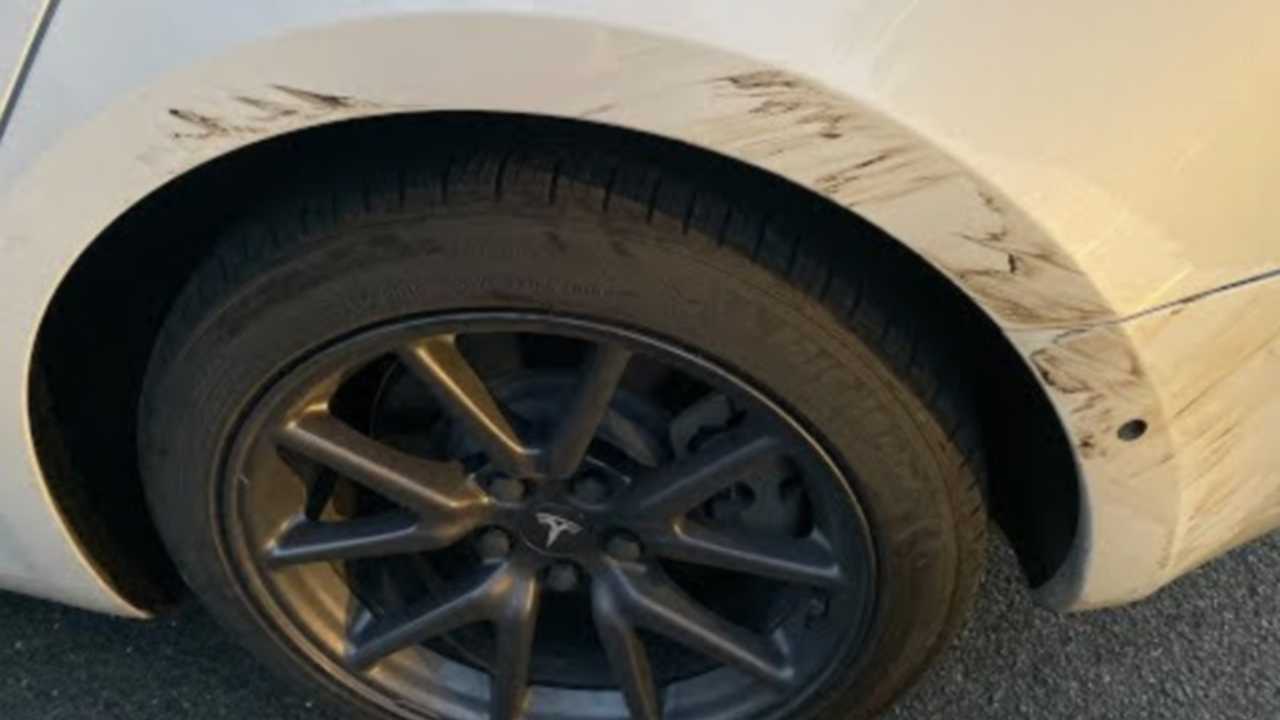 See a Jeep Wrangler Rub Its Tire On A Tesla Model 3