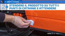 Il catrame e gli insetti