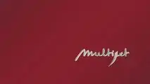 Il 1.9 Multijet