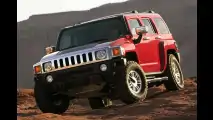 Kleiner Hummer kommt