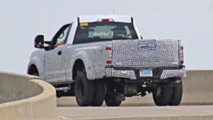 2020 Ford Super Duty Casus Fotoğraflar