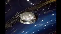 Sächsische Cobra