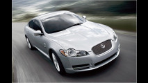 Jaguar: Neue Einsteiger