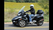 Harley hoch drei