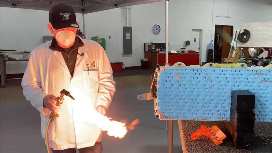 Munro's In-Depth Comparison Of Tesla Model Y & Model 3 Battery Packs