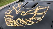 1977 Pontiac Trans Am Special Edition