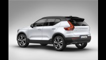 Schwedische SUV-Schönheit
