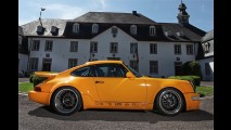 Abgespeckter Porsche