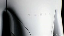 Tesla Bot