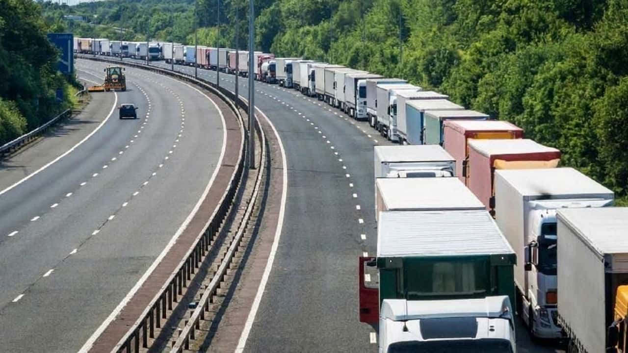 blocchi-dei-tir-al-sud-ortaggi-e-fiori-a-rischio-perche-lagricoltura-teme-danni