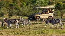 INEOS Grenadier Safari